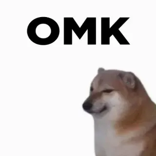 🎭 OMK doge, 개, 밈, omk telegram sticker
