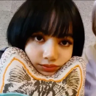 🌸 Lisa kpop, blackpink, lisa, sängerin, idol, frau, selfie, asiatin telegram sticker