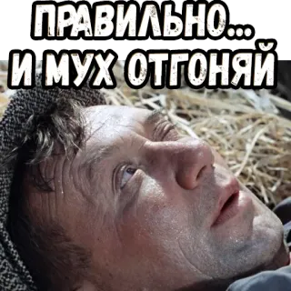 😤 ПРАВИЛЬНО... И МУХ ОТГОНЯЙ man, russian, movie, face, flies telegram sticker