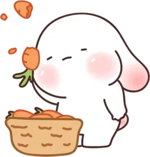 🥕 coniglio, carota, carino, animale, cibo, kawaii telegram sticker