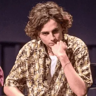 📯 Timothée Chalamet acteur, portrait, célébrité, homme, film, beau telegram sticker