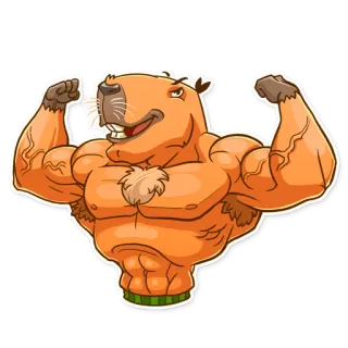 💪 คาปิบารา, มีกล้าม, การ์ตูน, สัตว์, แข็งแรง, ตลก telegram sticker