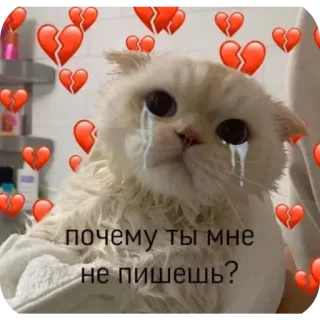 💔 почему ты мне не пишешь? telegram sticker