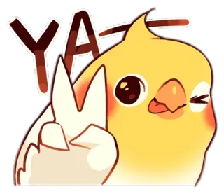 ✌️ YA pássaro, calopsita, fofo, adesivo, símbolo da paz telegram sticker