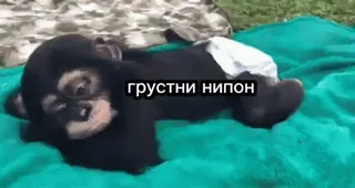 😟 грустни нипон monkey, sad, baby, animal telegram sticker