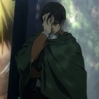 🤦‍♂️ Levi Ackerman Attack on Titan Anime, Ataque dos Titãs, AoT, Levi, Ackerman, Capitão, Militar telegram sticker