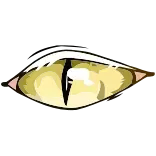 👁