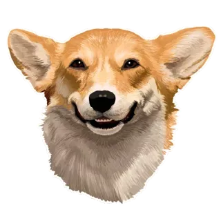 🐶 corgi, chó, động vật, thú cưng, dễ thương, vui vẻ, chân dung, thuần hóa telegram sticker
