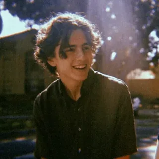 😄 Timothée Chalamet actor, celebrity, smile, handsome telegram sticker