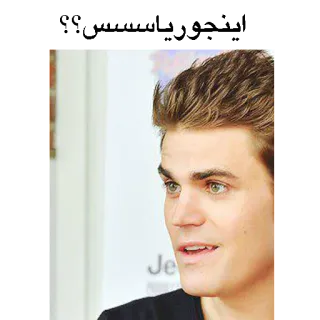 😋 Paul Wesley attore, ritratto, celebrità, uomo, maschio telegram sticker
