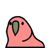 🦜 vogel, roze, schattig, dier, sticker, cartoon telegram sticker