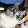 😳
