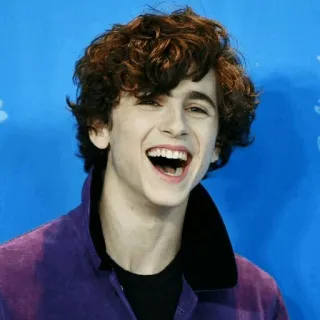 🤣 Timothée Chalamet ator, celebridade, retrato, homem, cabelo cacheado telegram sticker