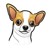 😐 chihuahua, chien, animal de compagnie, animal, portrait, mignon, dessin animé telegram sticker