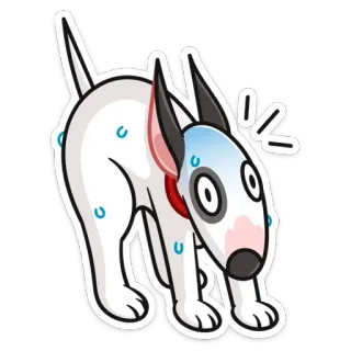 😬 собака, животное, мультфильм, испуганный, потеющий, белый whatsapp sticker