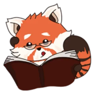 📚 レッサーパンダ, 読書, 本, 動物, メガネ, 可愛い telegram sticker