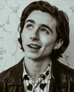 🦇 Timothée Chalamet actor, retrato, celebridad, blanco y negro, Timothée Chalamet telegram sticker