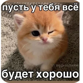 👍 пусть у тебя всё будет хорошо whatsapp sticker