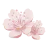 🌸