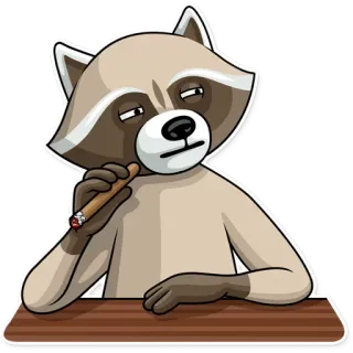 😑 szop pracz, cygaro, palenie, zwierzę, kreskówka, humor telegram sticker