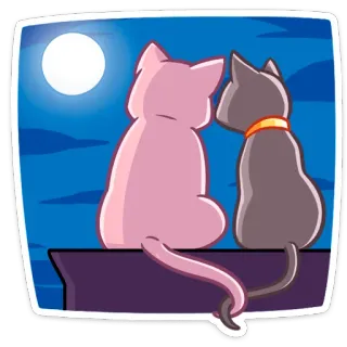 🌃 고양이, 달, 밤, 동물, 귀여운, 낭만적인 telegram sticker