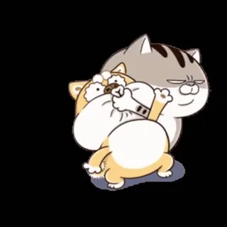 🤫 mèo, chó, động vật, hoạt hình, dễ thương, vui nhộn whatsapp sticker