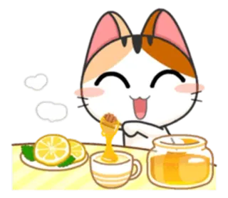 😋 chat, miel, citron, thé, mignon, kawaii, nourriture whatsapp sticker