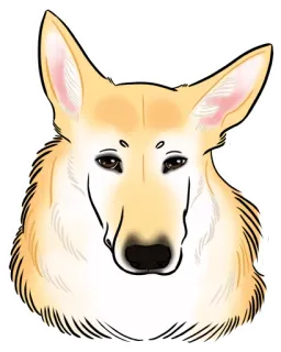 😒 anjing, kanin, hewan peliharaan, hewan, potret, lucu, ilustrasi, hewan domestik telegram sticker