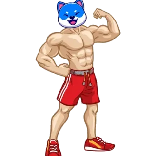 💪 muscle, dog, fitness, cartoon, gym, workout, shiba inu whatsapp sticker