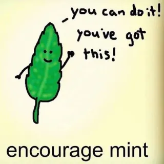 💪 you can do it!
you've got this!
encourage mint ermutigung, minze, motivation, positiv, süß, cartoon, blatt whatsapp sticker