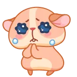 🥺 hamster, cute, sad, begging, pleading, kawaii telegram sticker