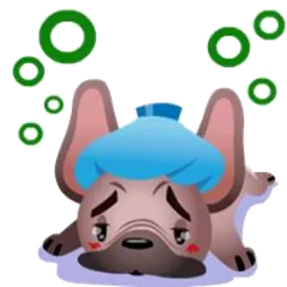 🏨 cachorro, doente, triste, bolsa de gelo, exausto telegram sticker
