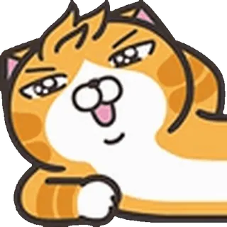 🐈