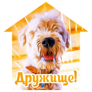 🤝 Дружище! dog, friend, animal, sticker, cute telegram sticker