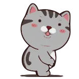 😵 chat, mignon, animal, sticker, dessin animé whatsapp sticker