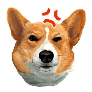 🐶 corgi, chó, tức giận, buồn bã, biểu tượng cảm xúc, dễ thương, emoji telegram sticker