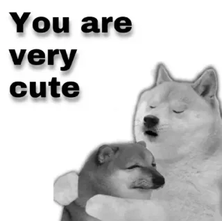 😂 Doge You are very cute doge, lindo, meme, perro, mascota, shiba inu telegram sticker