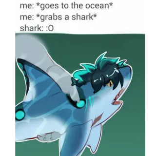 🦈 me: *goes to the ocean*
me: *grabs a shark*
shark: :0 tiburón, océano, meme, divertido telegram sticker
