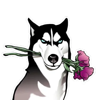 💐 chó, husky, hoa, dễ thương, động vật, lãng mạn telegram sticker
