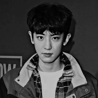 🏹 Chanyeol Kpop, Exo, Chanteur, Idole, Musique, Chanyeol telegram sticker