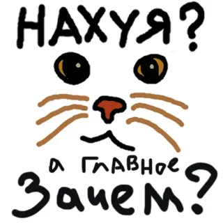 😳 НАХУЯ?
А ГЛАВНОЕ ЗАЧЕМ? kucing, rusia, menyinggung, pertanyaan, kumis, lucu telegram sticker