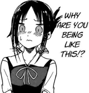 😖 Kaguya Shinomiya Kaguya-sama: Love Is War WHY ARE YOU BEING LIKE THIS!? kaguya shinomiya, kaguya-sama love is war, anime, manga, frage, geschockt, verwirrt telegram sticker