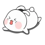 😵 conejo, lindo, animal, conejo, dibujos animados, juguetón whatsapp sticker