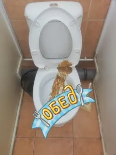 😍 ОБЕД toilet, food, lunch, russian, обед, restroom telegram sticker