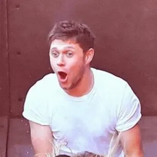 🎸 Niall Horan Niall Horan, One Direction, cantor pop, chocado, celebridade, cantor telegram sticker