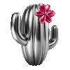 🌵