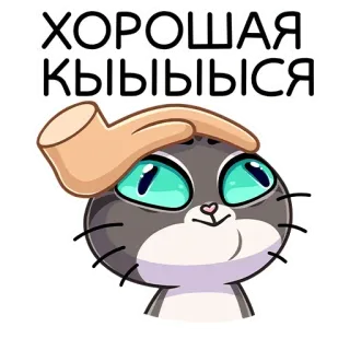 😼 ХОРОШАЯ КЫЫЫЫСЯ chat, mignon, autocollant, dessin animé, drôle, animal whatsapp sticker