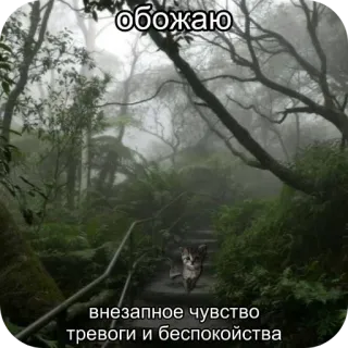 😊 обожаю
внезапное чувство
тревоги и беспокойства 自然, 森, 猫, 霧, 不安, 恐怖, 気分 telegram sticker