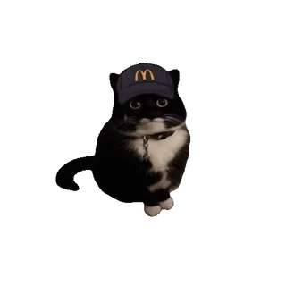 🍟 cat, McDonald's, hat, pet, black and white whatsapp sticker