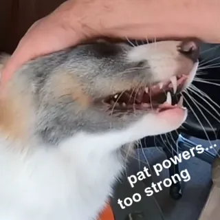 😐 pat powers... too strong dog, pet, funny, meme, animal, aggressive telegram sticker